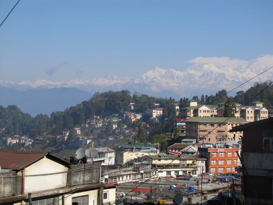 Darjeeling Dooars