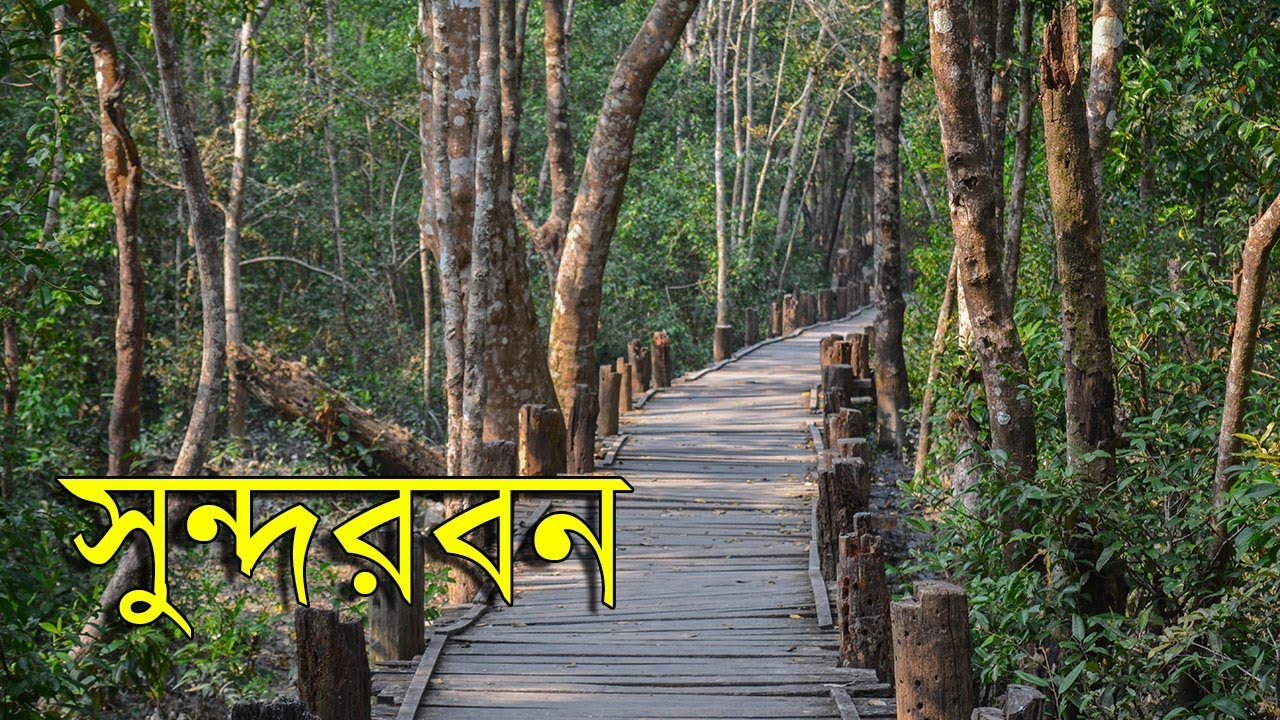 Exclusive Sundarban 